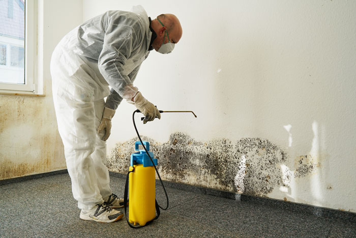 Cómo eliminar el moho de la pared de manera definitiva – Humedades Málaga