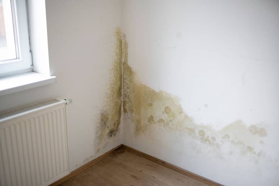 Humedad por capilaridad ascendente visible en pared interior