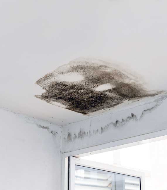 consecuencias de las humedades en el techo