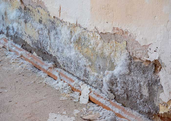 Moho blanco en la pared: por qué sale y cómo eliminarlo - Iberdeco