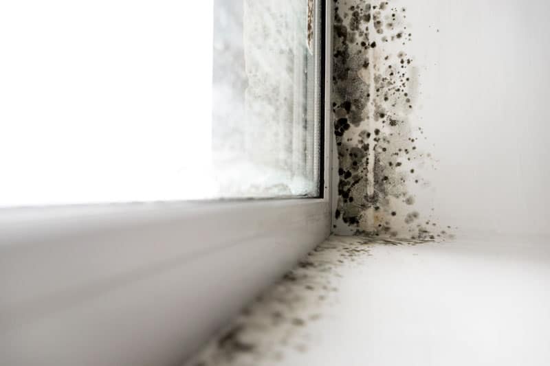 condensación en ventanas