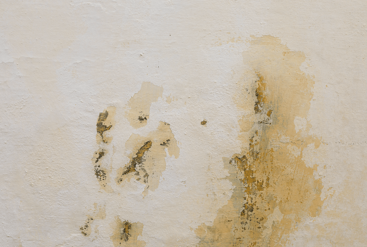 Pared interior con mancha amarillenta causada por filtración