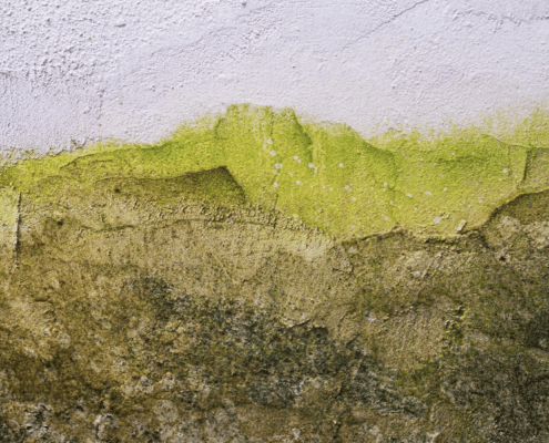 Pared con gran cantidad de humedad.