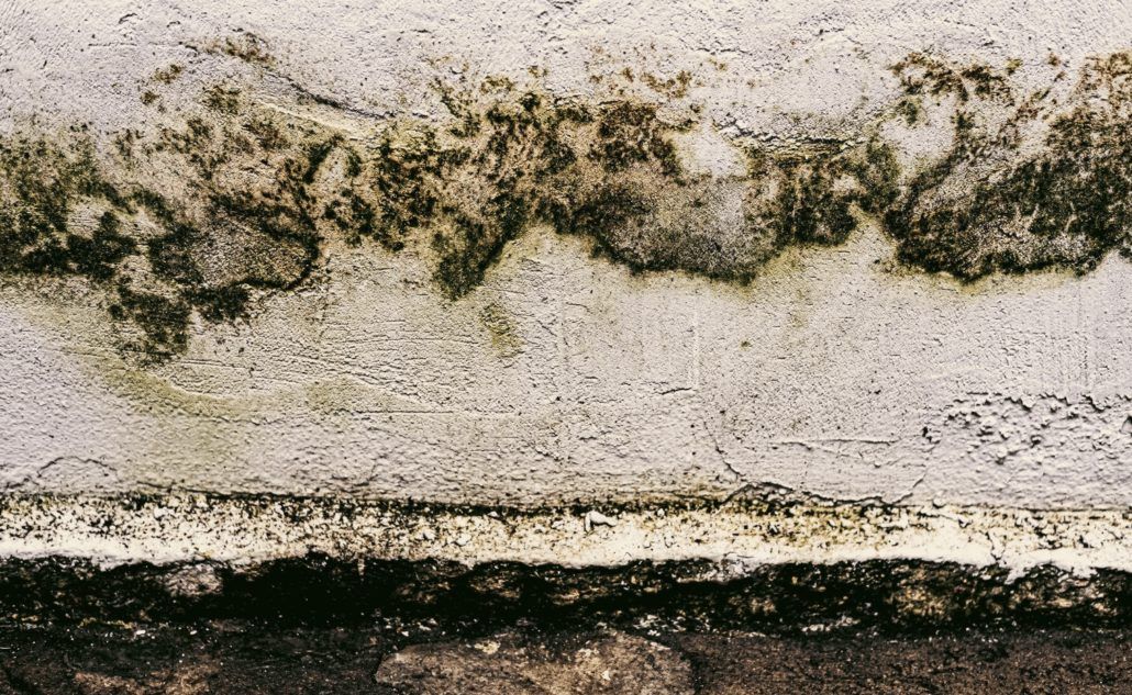 pared de un sótano con humedad por filtraciones de agua