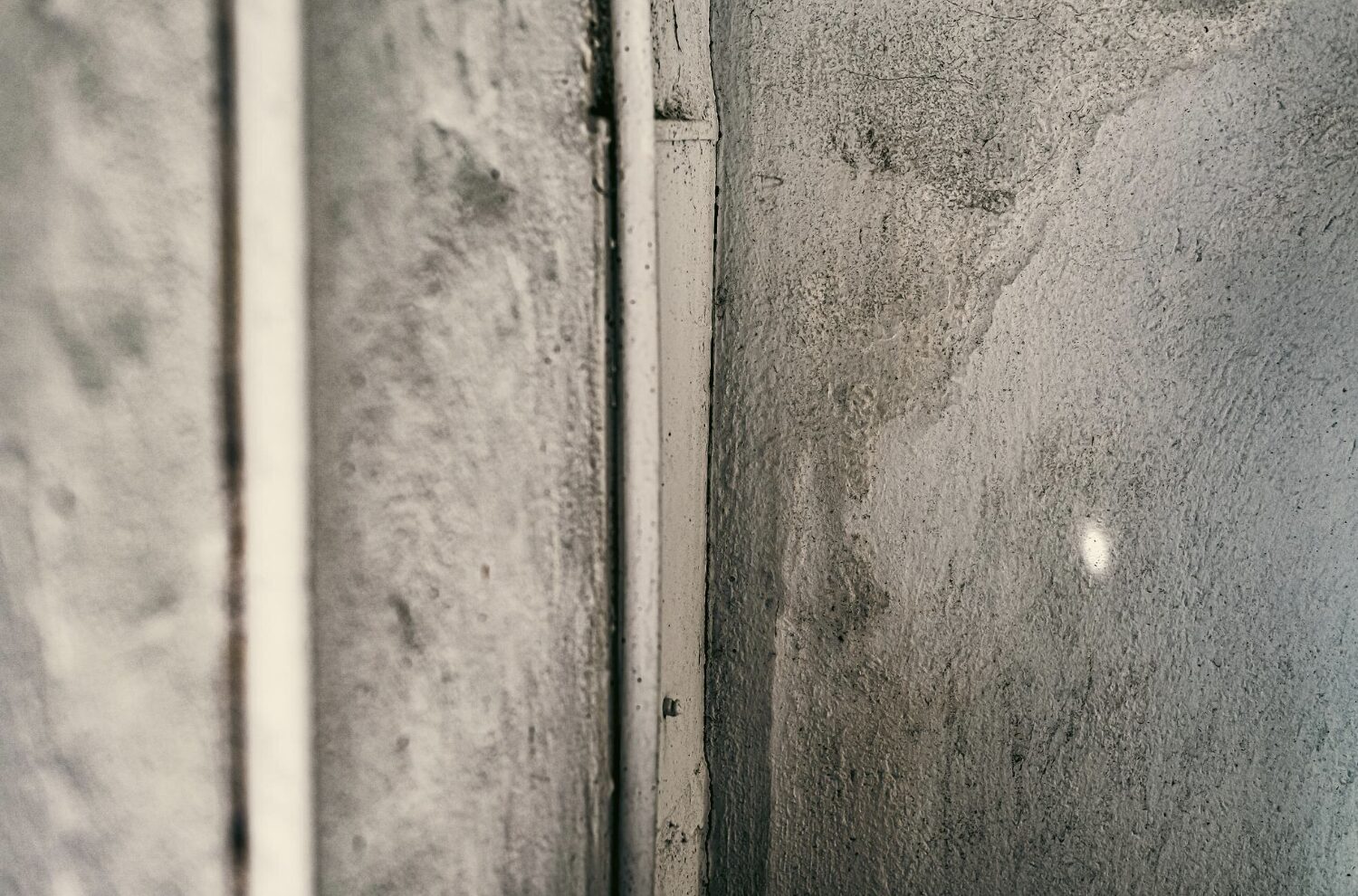 Pared con humedades tras reforma.