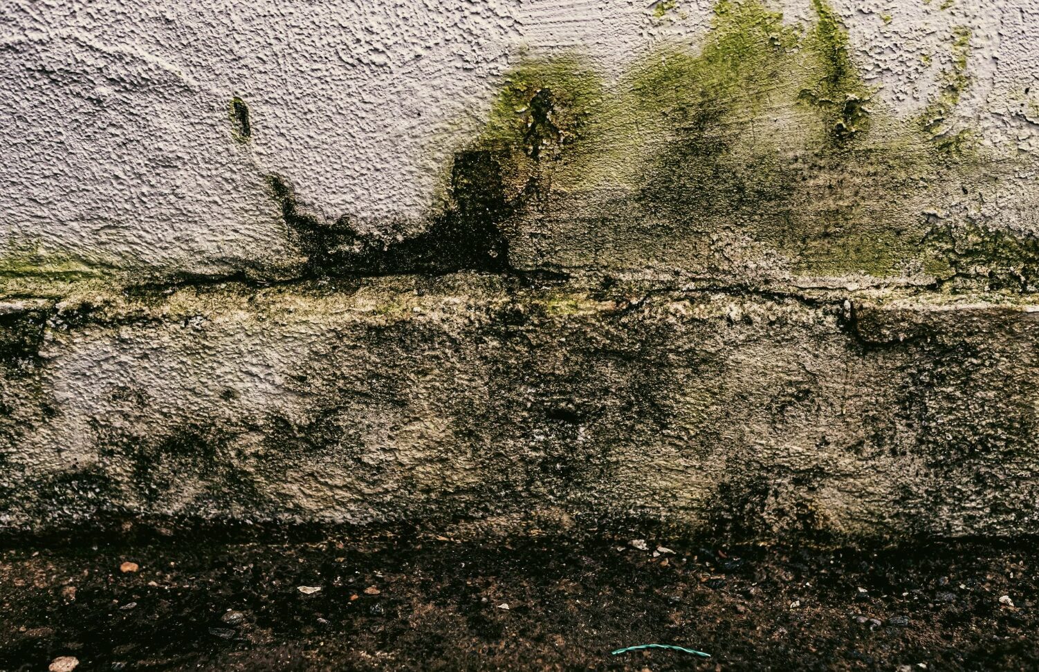 Imagen sobre una pared con humedad
