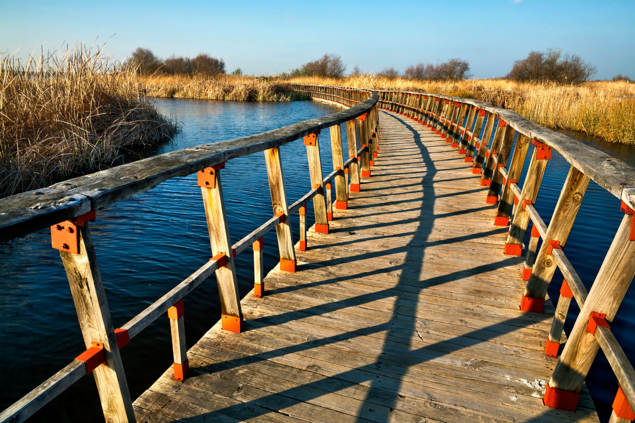 Tablas de Daimiel. Ciudad Real. Castilla la Mancha.