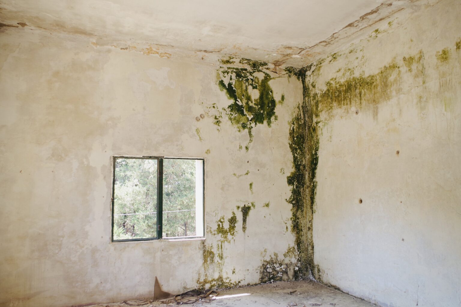 Humedad en vivienda