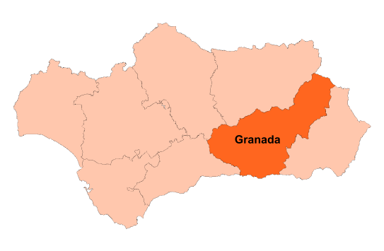 Cobertura Iberdeco en Granada