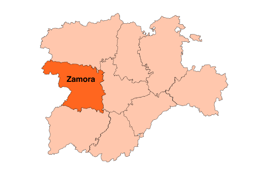 Cobertura Iberdeco en Zamora