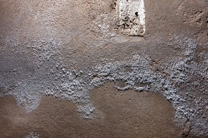 tipos de humedad que causan salitre