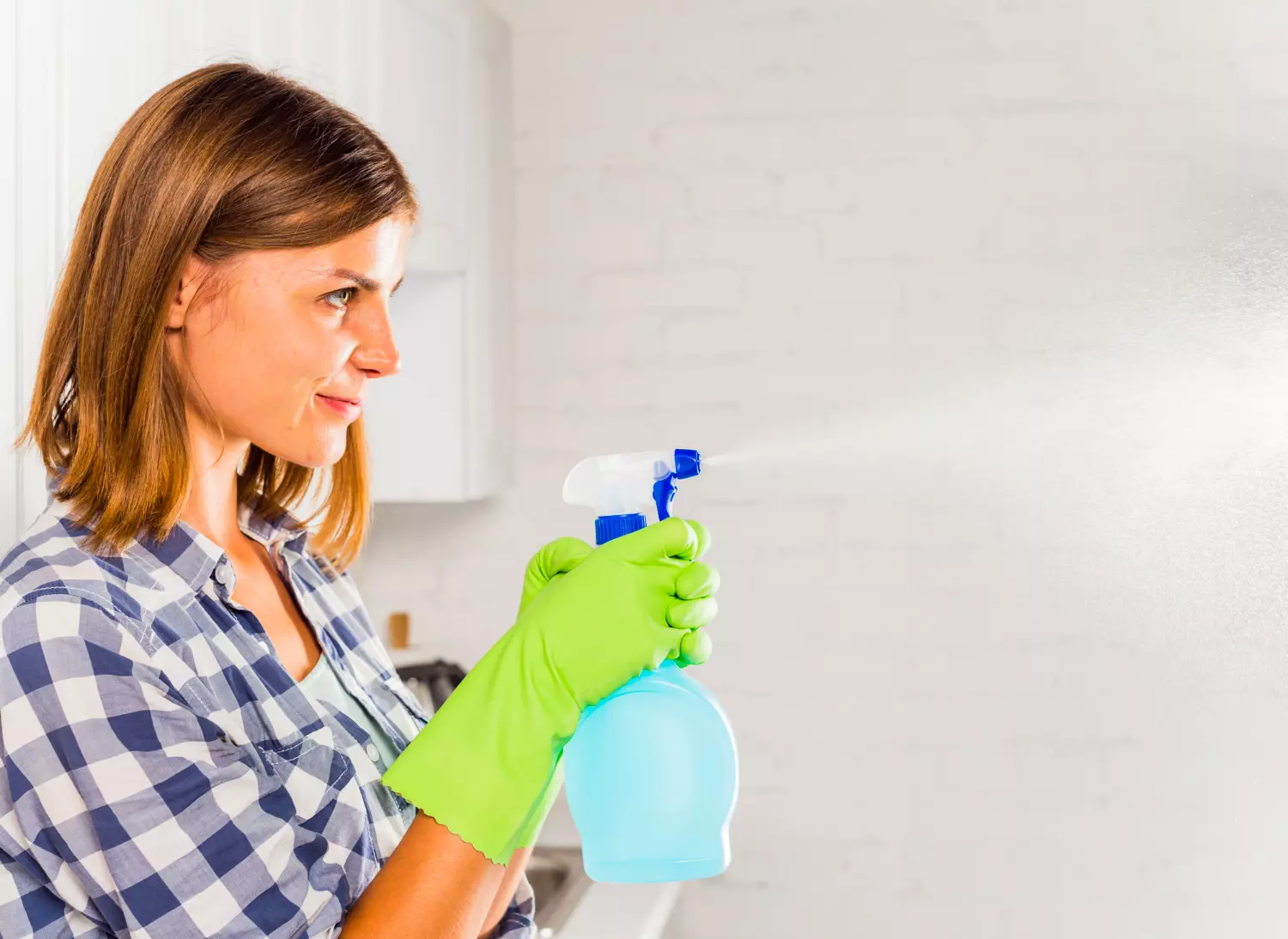 insecticida para bichos de la humedad