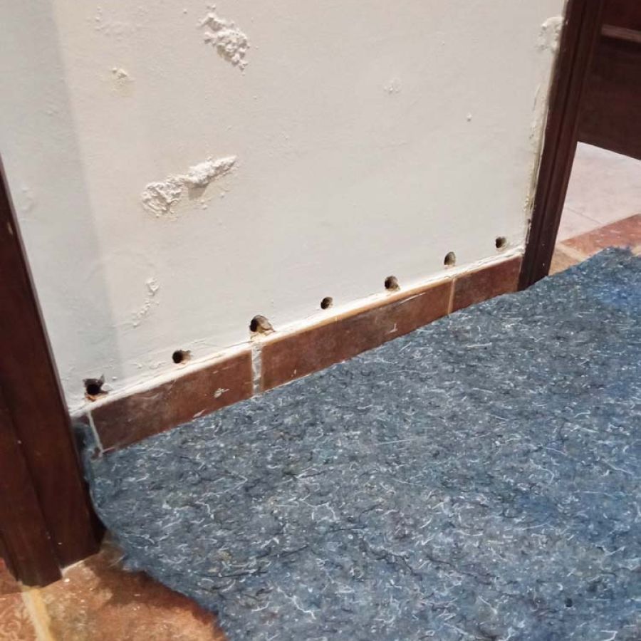 Tratamiento de humedades en calle Tres, Sevilla