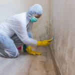 solución de daños estructurales producidos por humedades