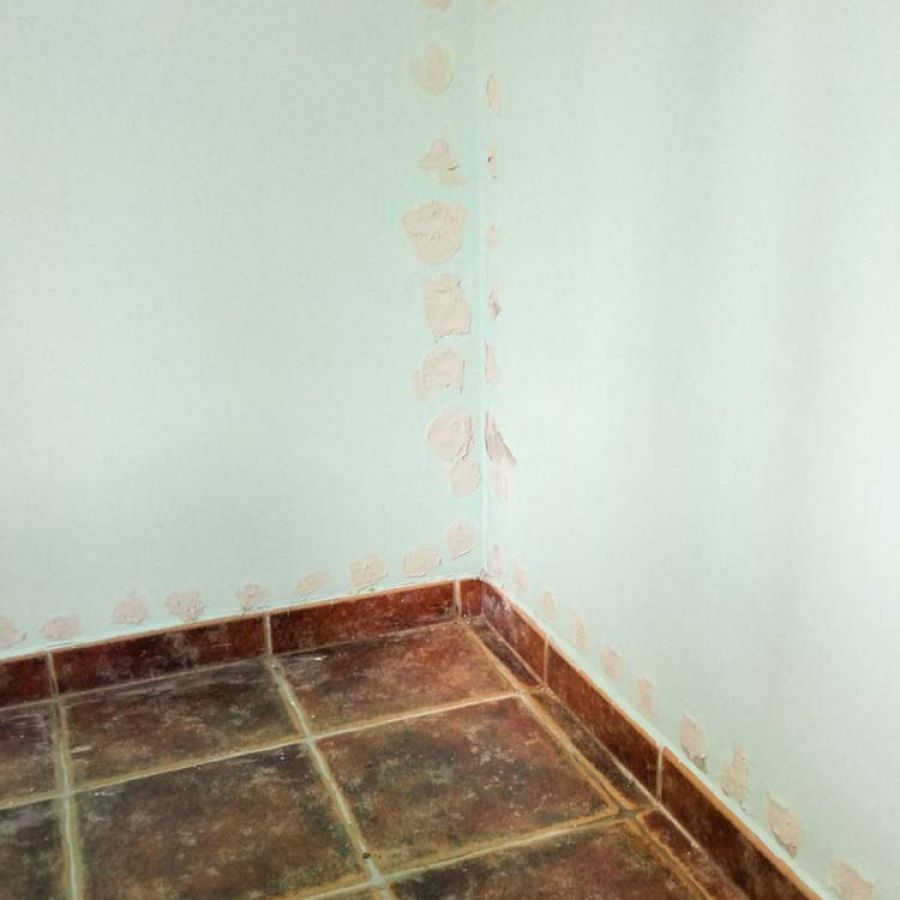 Tratamiento de humedades en calle Tres, Sevilla