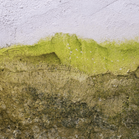 Pared con gran cantidad de humedad.