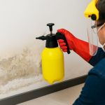 Uso de productos químicos en pared con salitre