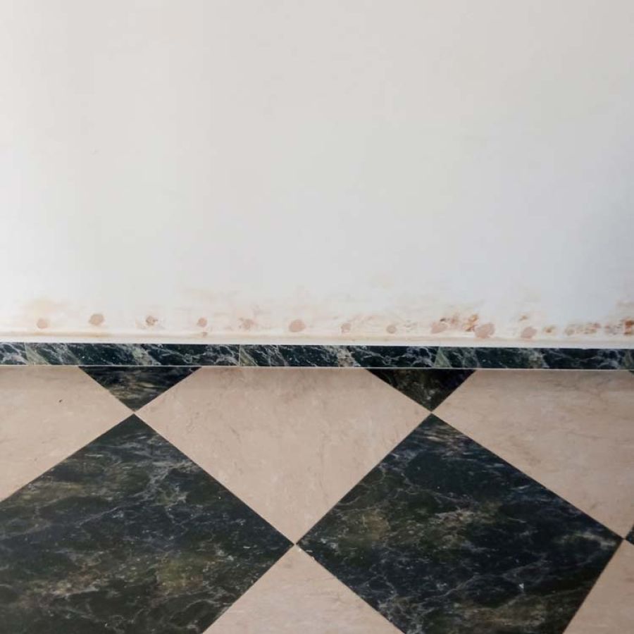 Tratamiento de humedades en calle Mezquita, Sevilla